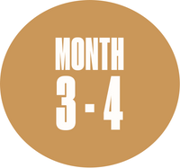 Month 3–4