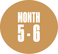 Month 5–6