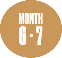 Month 6–7